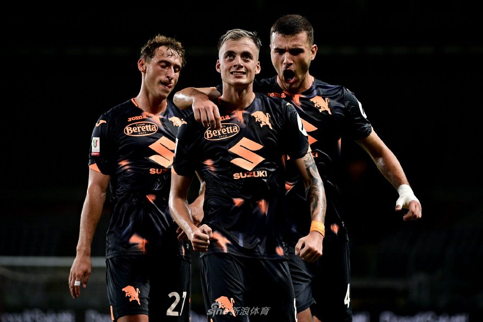 扰的习惯化 扰的习惯化